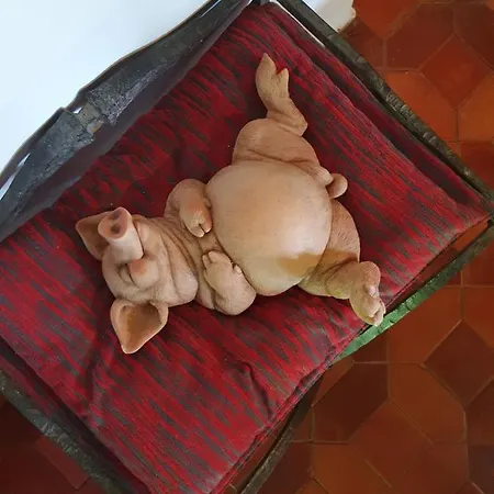 Casa Palaciega El Cuartel イン メディナセリ