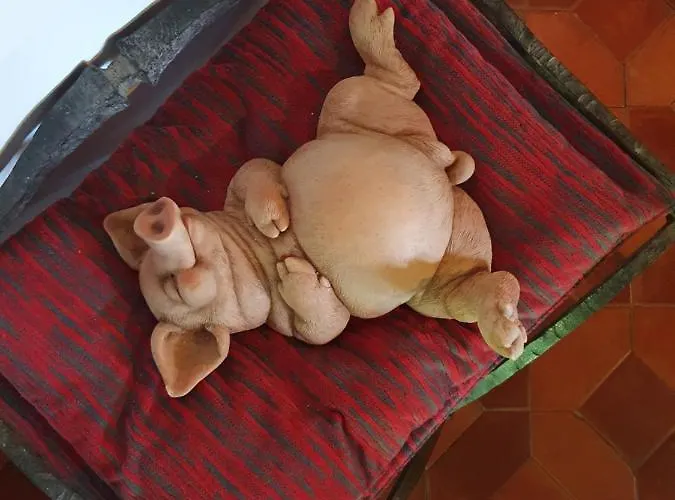 Casa Palaciega El Cuartel 여관 메디나셀리